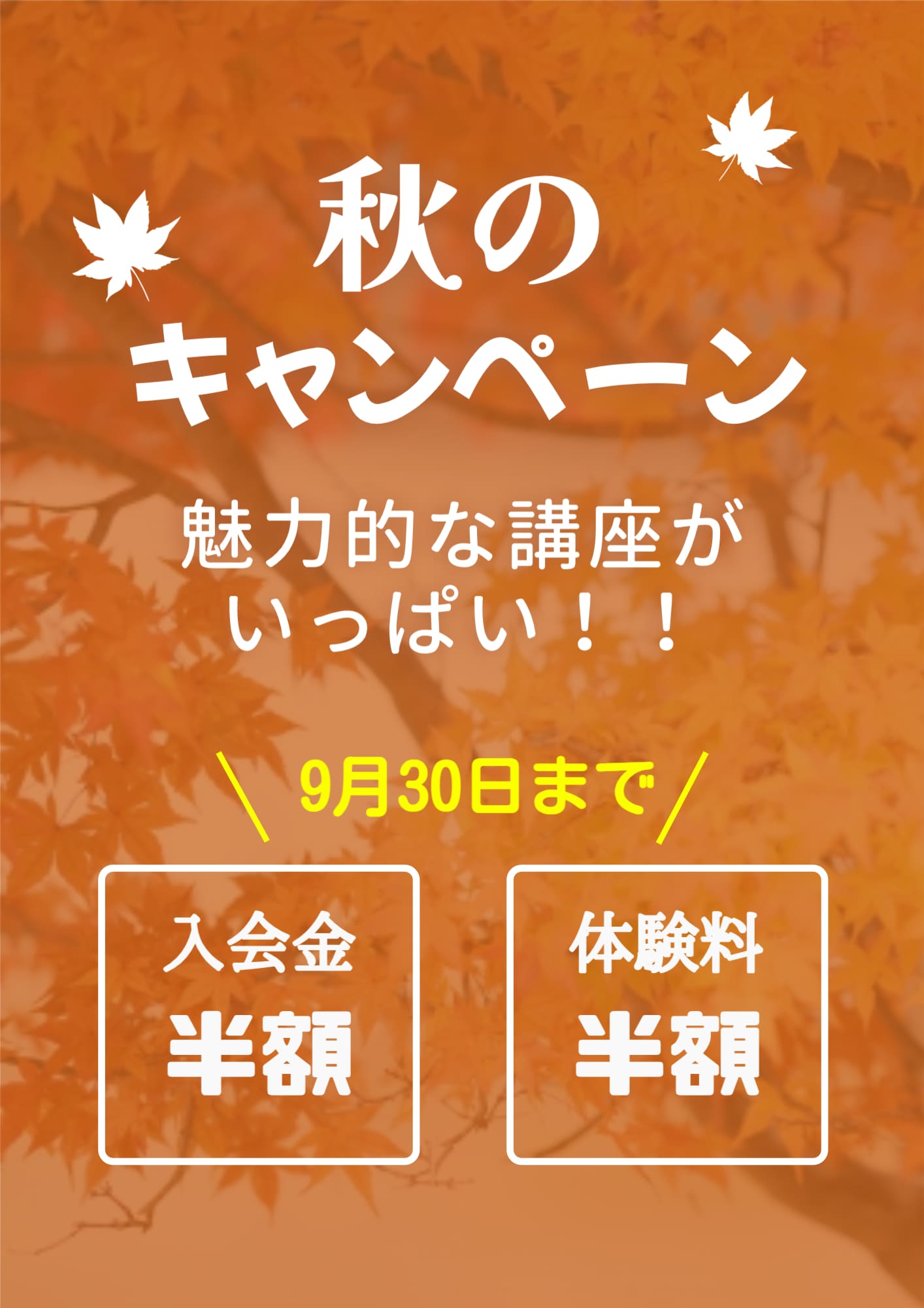 campaign広告画像